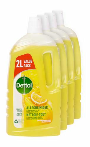 Dettol Nettoie-Tout Citrus